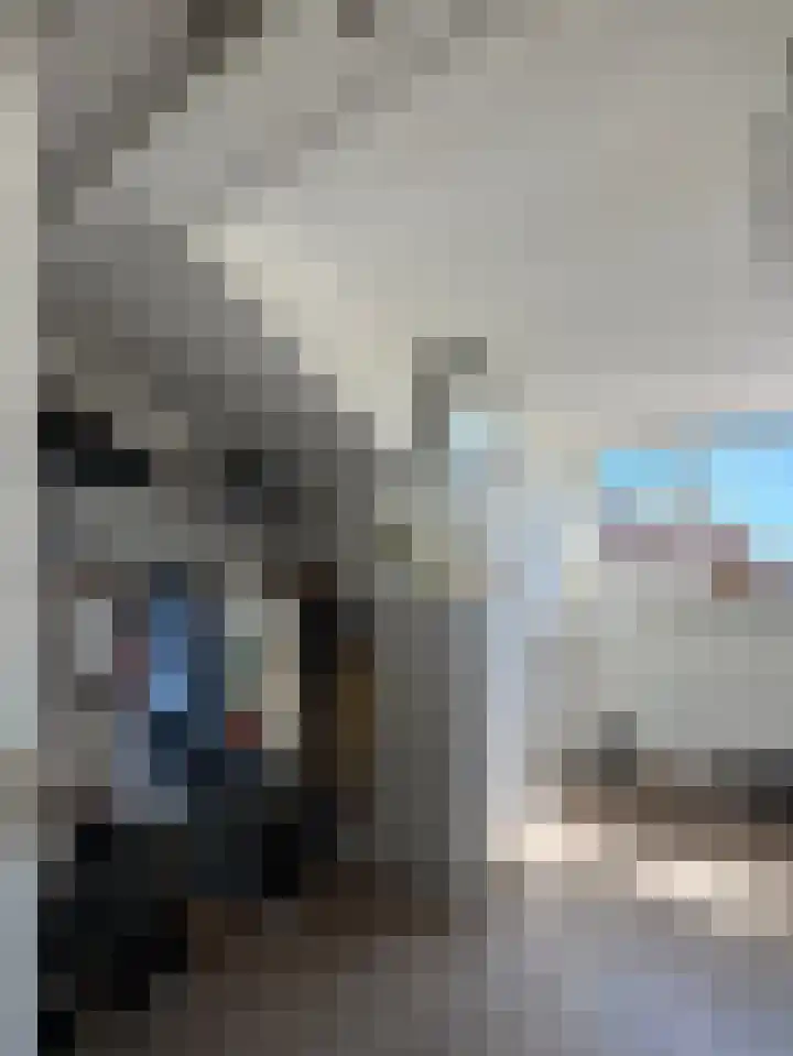 Hondegatstraat 12 Harderwijk thumbnail 35