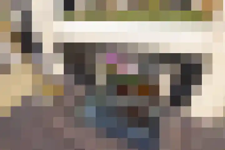 Hondegatstraat 12 Harderwijk thumbnail 5