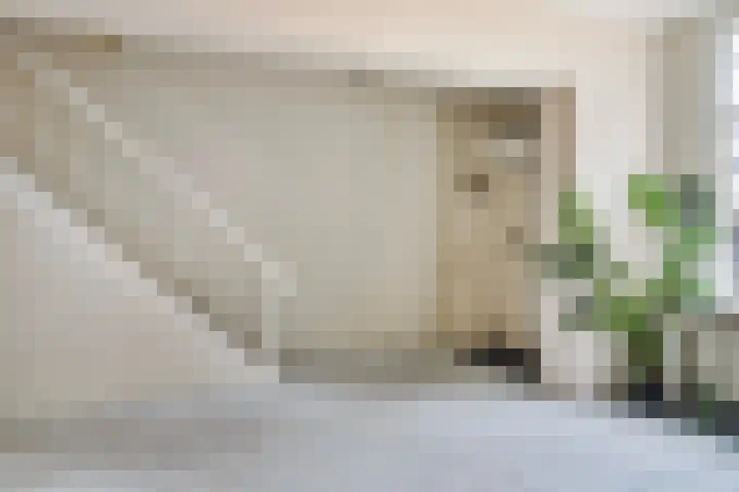 Hondegatstraat 2 Harderwijk thumbnail 7
