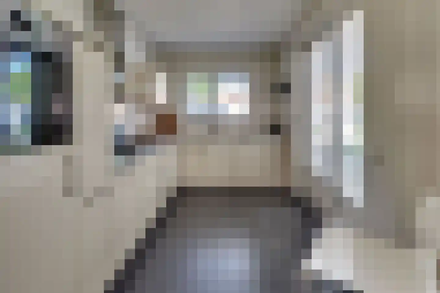 Hondegatstraat 7 A Harderwijk thumbnail 26
