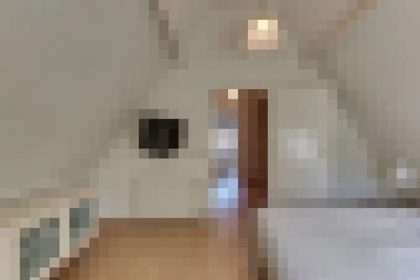 Hondegatstraat 7 A Harderwijk thumbnail 41