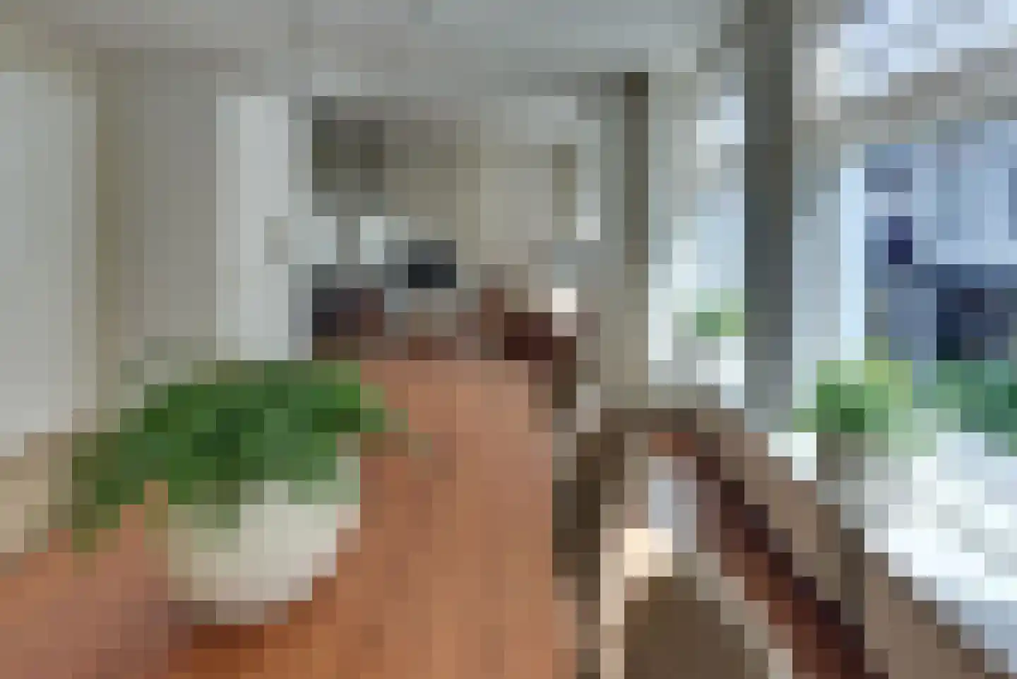 Hondegatstraat 7 A Harderwijk thumbnail 9