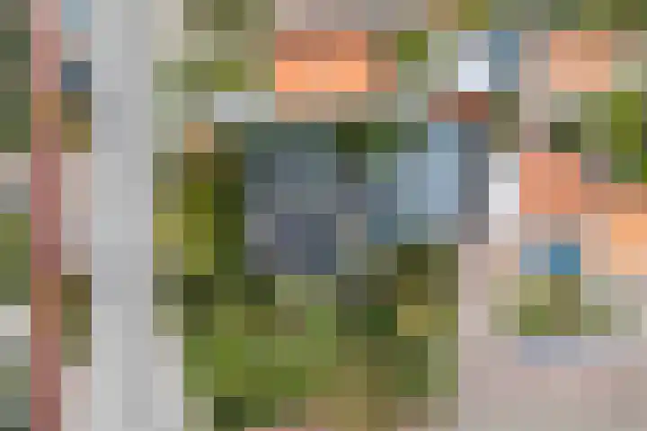 Hondegemsweg 1 Grijpskerke
