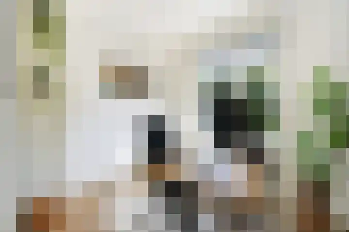 Hondegemsweg 1 Grijpskerke thumbnail 10