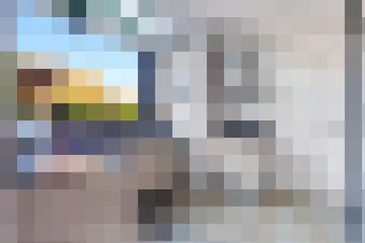Hondegemsweg 1 Grijpskerke thumbnail 14