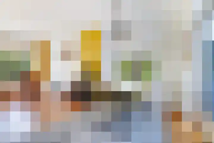 Hondegemsweg 1 Grijpskerke thumbnail 17