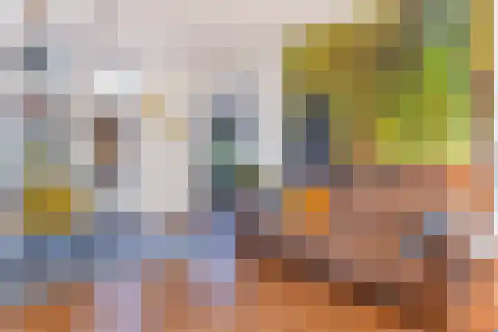 Hondegemsweg 1 Grijpskerke thumbnail 19
