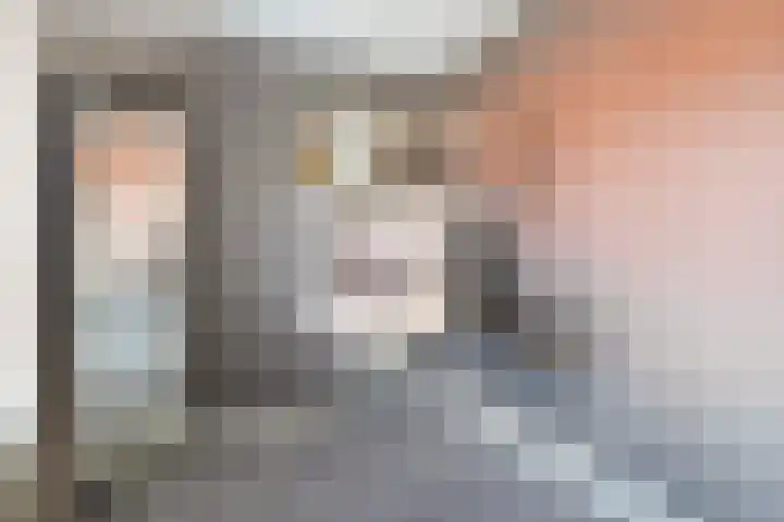 Hondegemsweg 1 Grijpskerke thumbnail 22