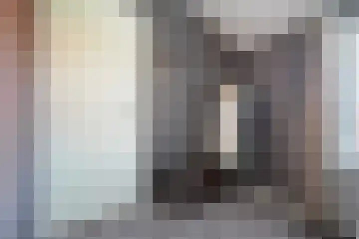 Hondegemsweg 1 Grijpskerke thumbnail 23