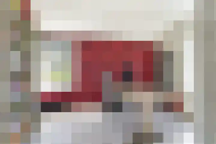 Hondegemsweg 1 Grijpskerke thumbnail 28