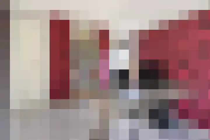 Hondegemsweg 1 Grijpskerke thumbnail 29