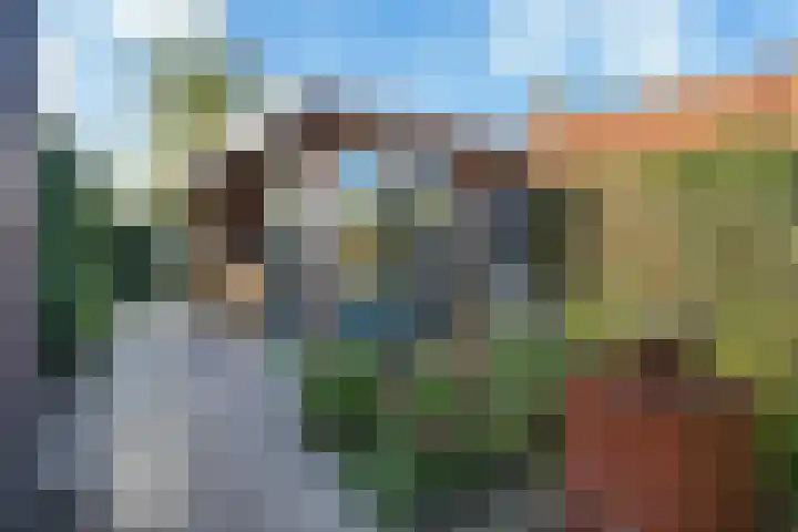 Hondegemsweg 1 Grijpskerke foto 3