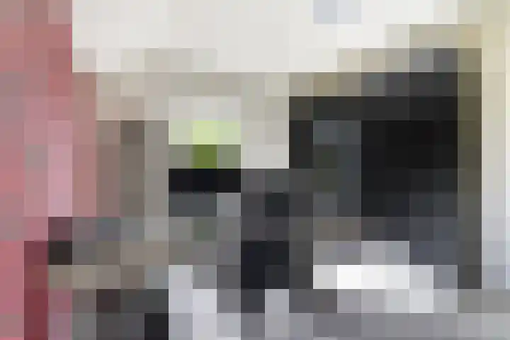 Hondegemsweg 1 Grijpskerke thumbnail 30