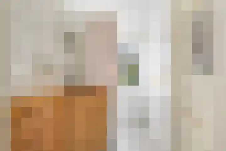 Hondegemsweg 1 Grijpskerke thumbnail 32