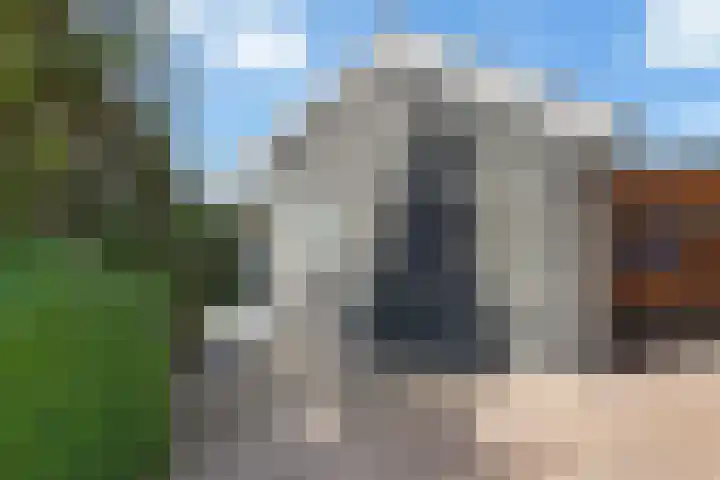 Hondegemsweg 1 Grijpskerke thumbnail 34