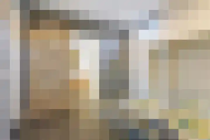 Hondegemsweg 1 Grijpskerke thumbnail 39
