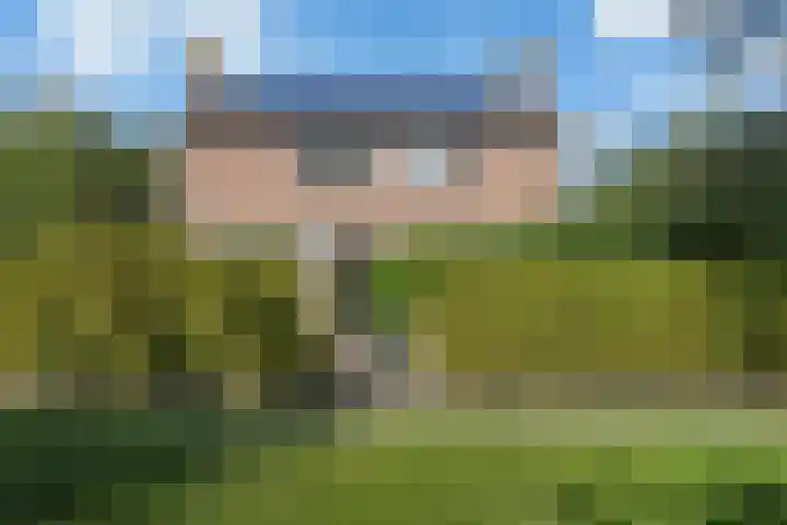 Hondegemsweg 1 Grijpskerke thumbnail 4