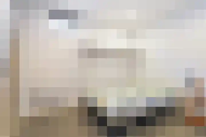 Hondegemsweg 1 Grijpskerke thumbnail 40