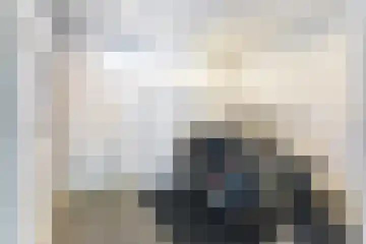 Hondegemsweg 1 Grijpskerke thumbnail 41