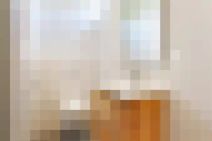 Hondegemsweg 1 Grijpskerke thumbnail 43