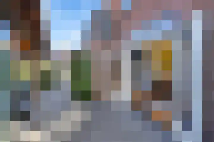 Hondegemsweg 1 Grijpskerke thumbnail 45