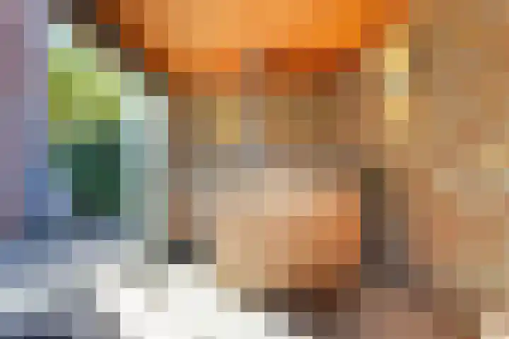 Hondegemsweg 1 Grijpskerke thumbnail 47