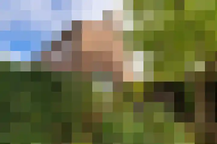 Hondegemsweg 1 Grijpskerke thumbnail 48