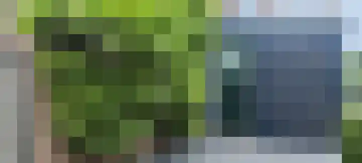 Hondegemsweg 1 Grijpskerke thumbnail 50