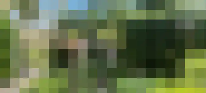 Hondegemsweg 1 Grijpskerke thumbnail 51