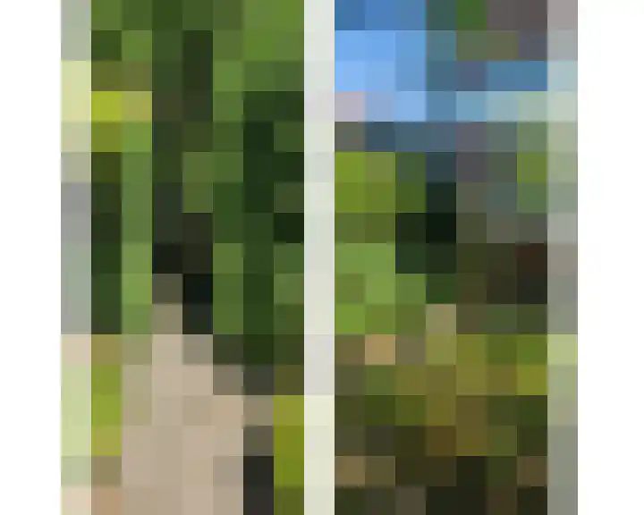 Hondegemsweg 1 Grijpskerke thumbnail 52