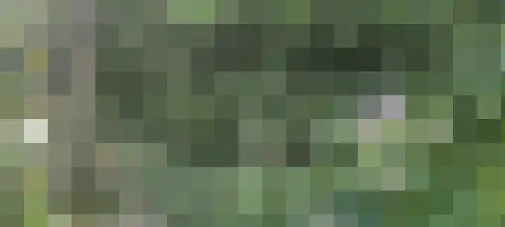 Hondegemsweg 1 Grijpskerke thumbnail 53