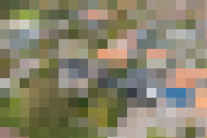 Hondegemsweg 1 Grijpskerke thumbnail 54
