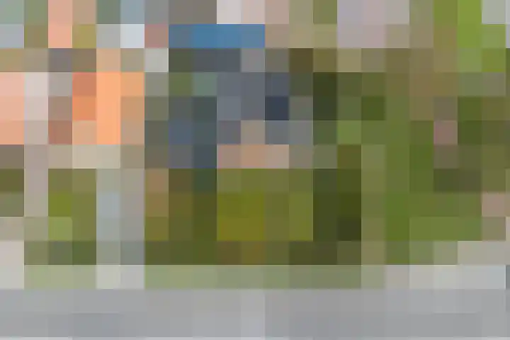 Hondegemsweg 1 Grijpskerke thumbnail 55