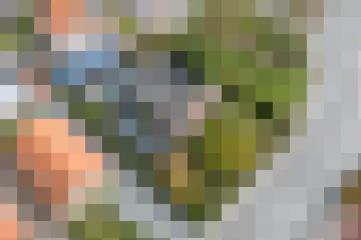 Hondegemsweg 1 Grijpskerke thumbnail 56
