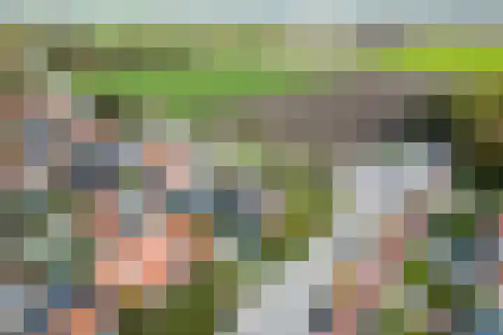 Hondegemsweg 1 Grijpskerke thumbnail 58