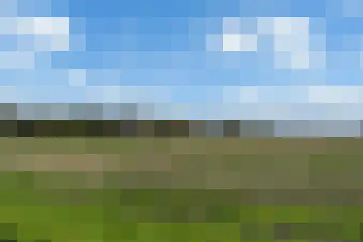 Hondegemsweg 1 Grijpskerke thumbnail 59