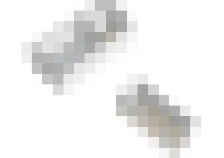 Hondegemsweg 1 Grijpskerke thumbnail 66