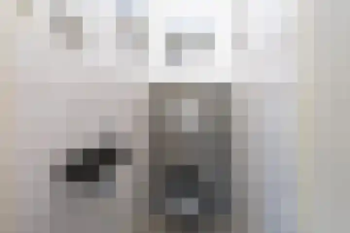 Hondegemsweg 1 Grijpskerke thumbnail 9