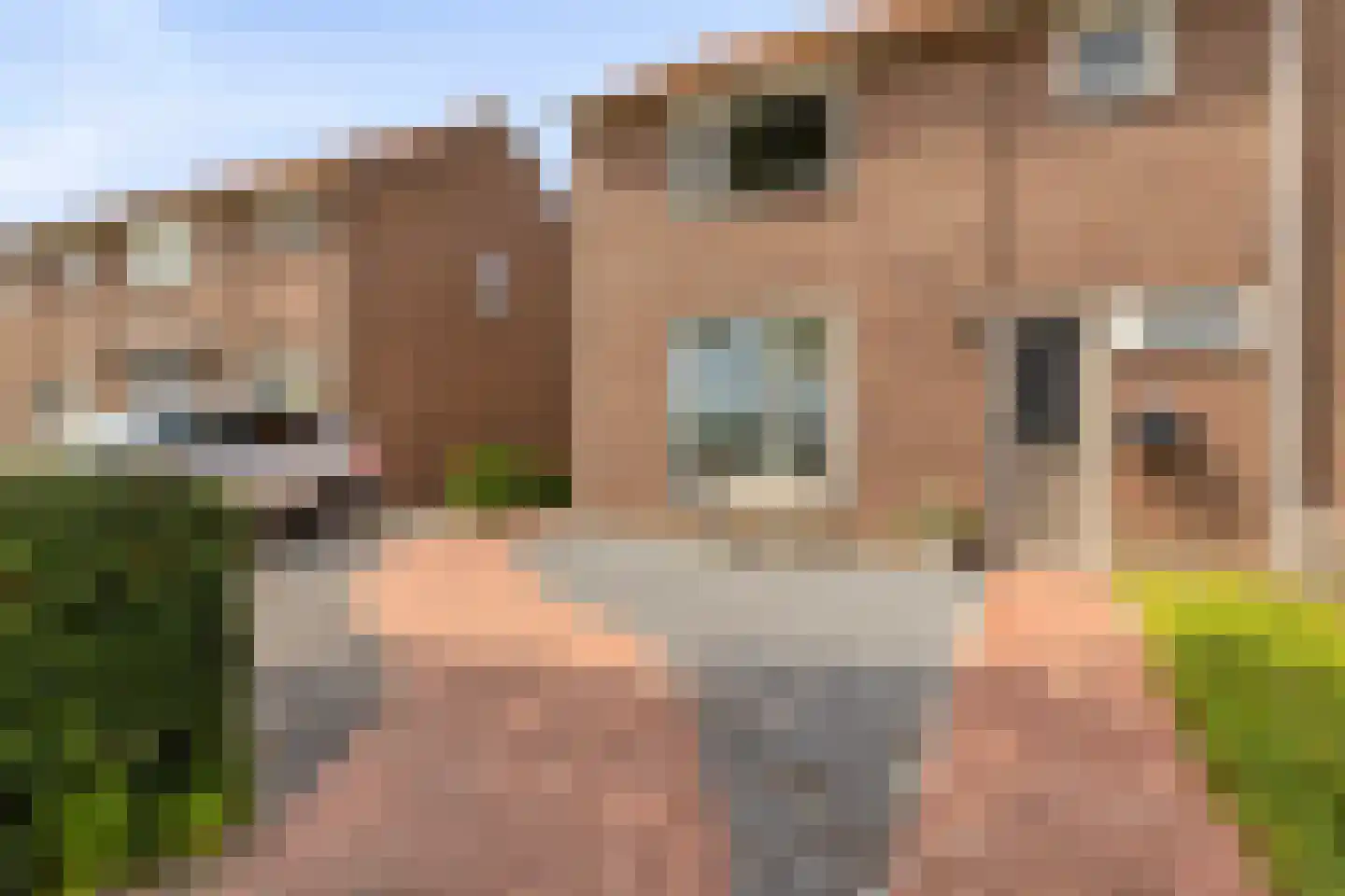 Hondegemsweg 17 in Grijpskerke