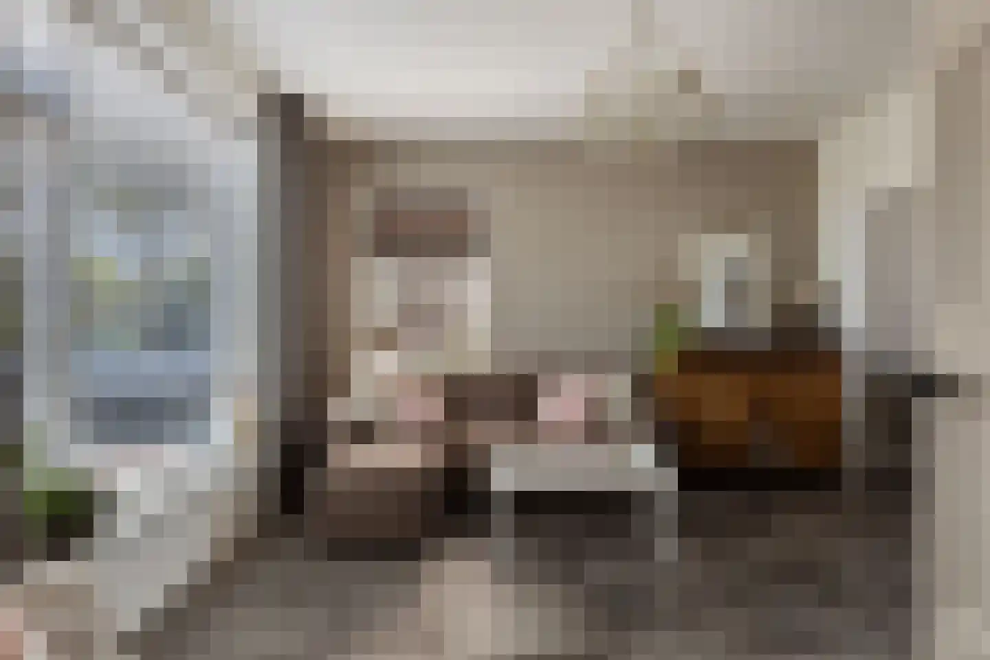 Hondegemsweg 17 Grijpskerke thumbnail 12