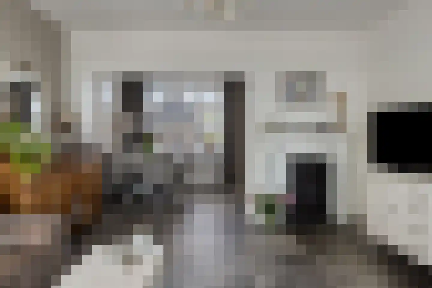 Hondegemsweg 17 Grijpskerke thumbnail 13