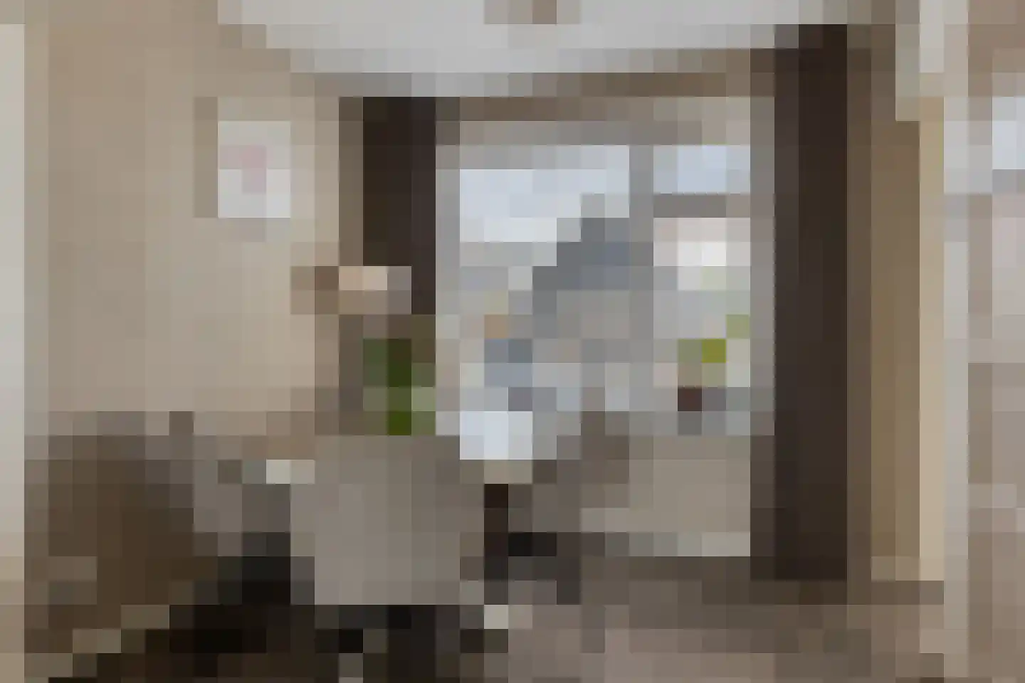 Hondegemsweg 17 Grijpskerke thumbnail 15