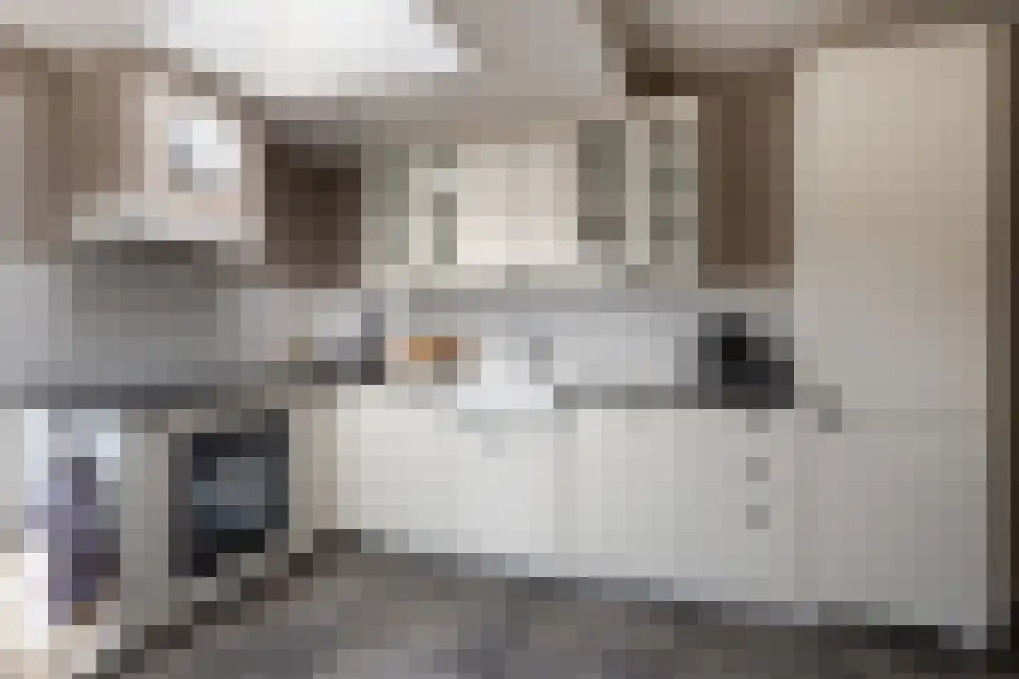 Hondegemsweg 17 Grijpskerke thumbnail 17