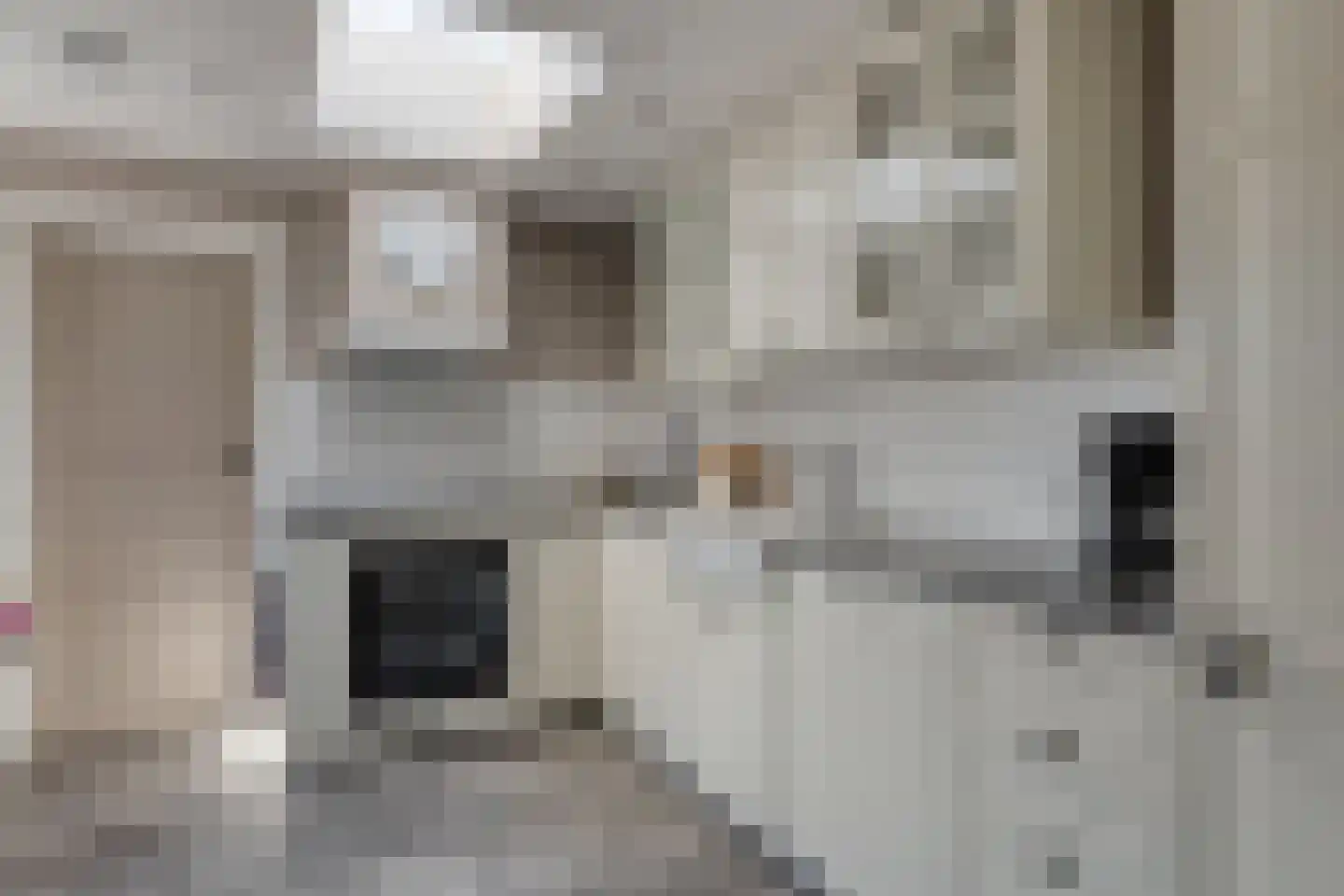 Hondegemsweg 17 Grijpskerke thumbnail 18