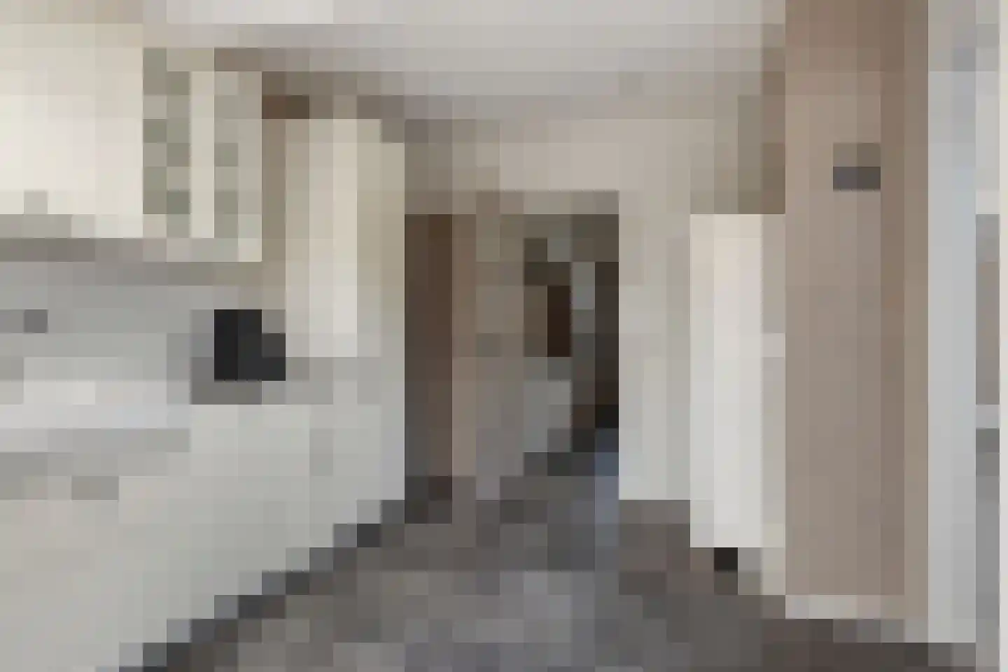 Hondegemsweg 17 Grijpskerke thumbnail 19