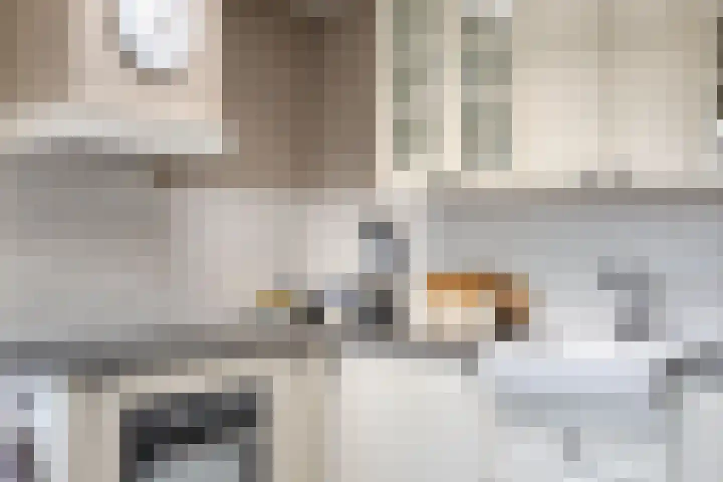 Hondegemsweg 17 Grijpskerke thumbnail 20