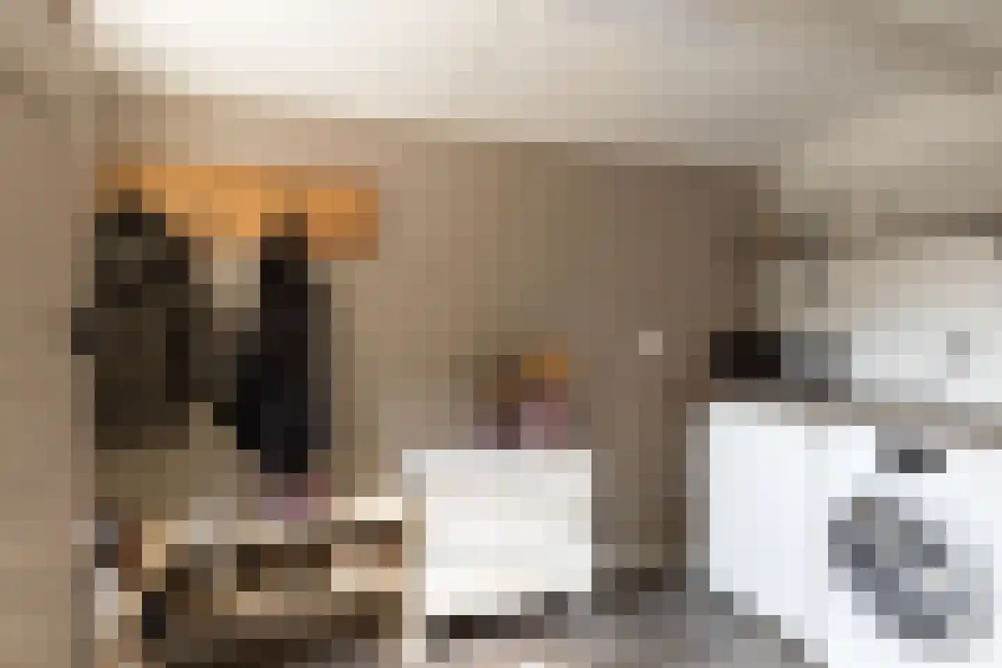 Hondegemsweg 17 Grijpskerke thumbnail 21