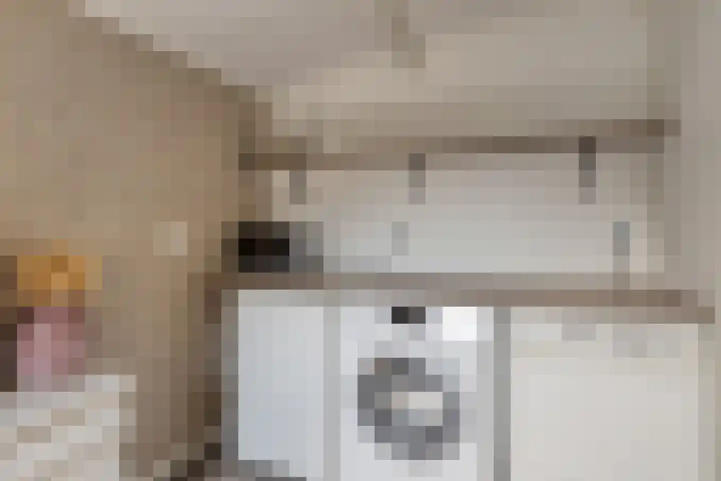 Hondegemsweg 17 Grijpskerke thumbnail 22