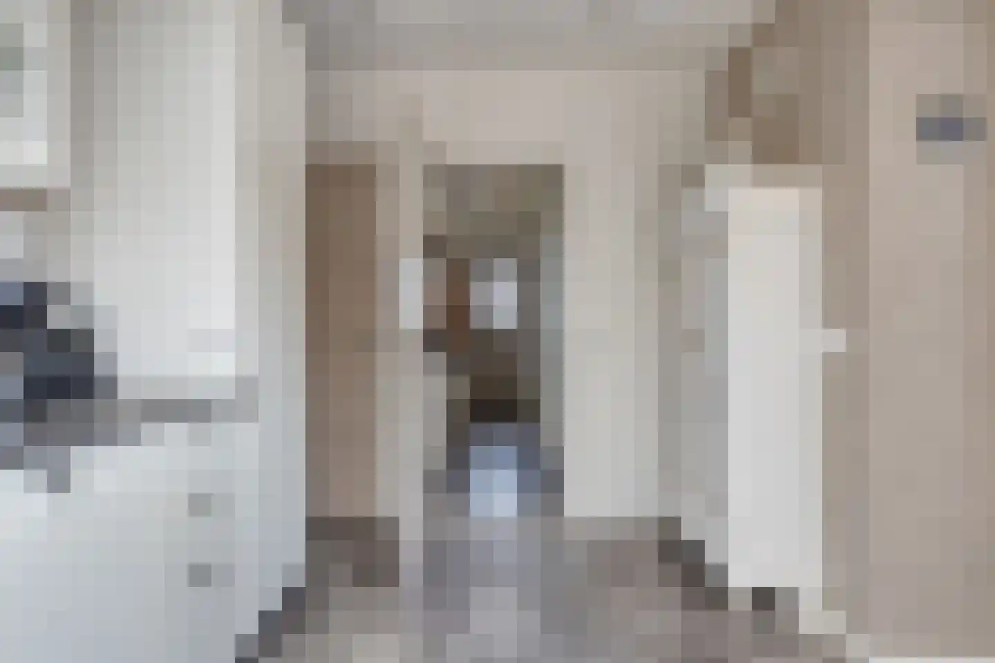 Hondegemsweg 17 Grijpskerke thumbnail 23