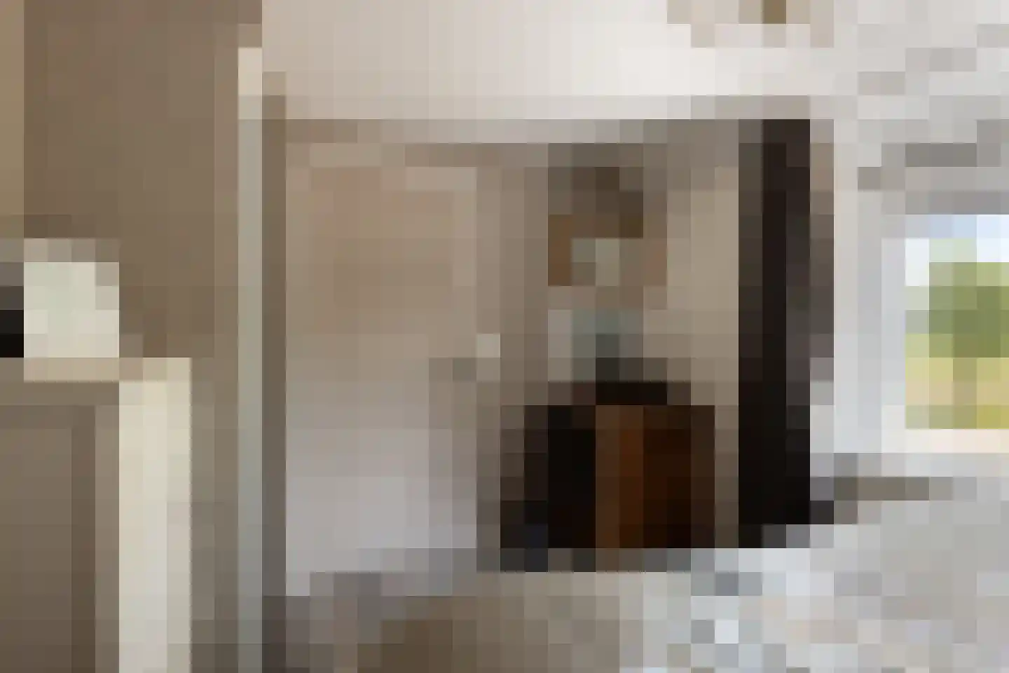 Hondegemsweg 17 Grijpskerke thumbnail 25